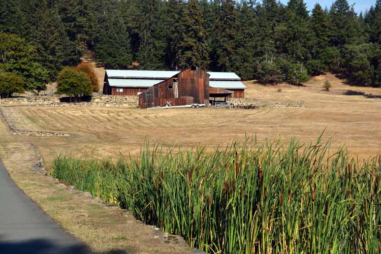 countryside